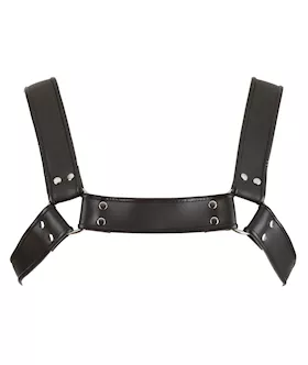 Leather Chest Harness